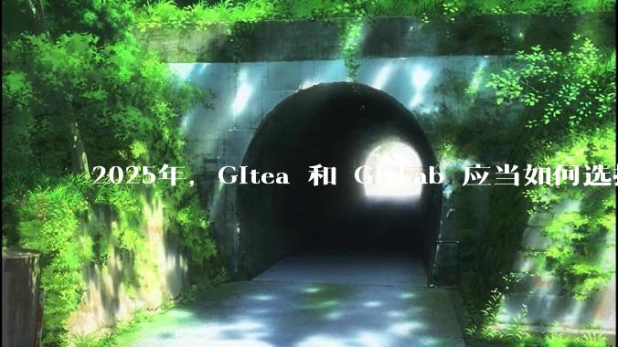 2025年，Gitea 和 GitLab 应当如何选择？