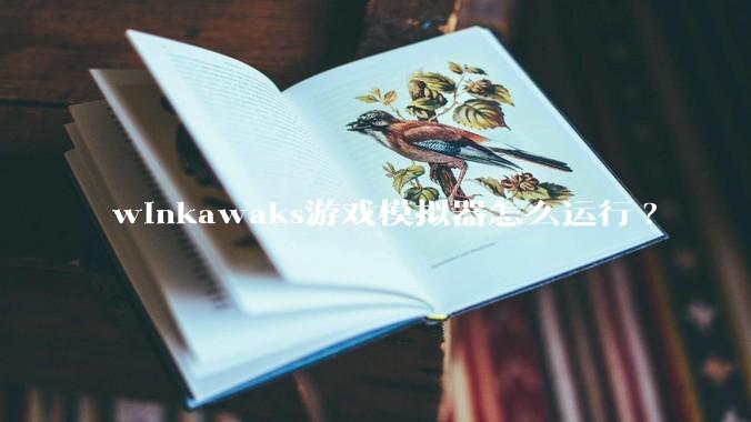 winkawaks游戏模拟器怎么运行?